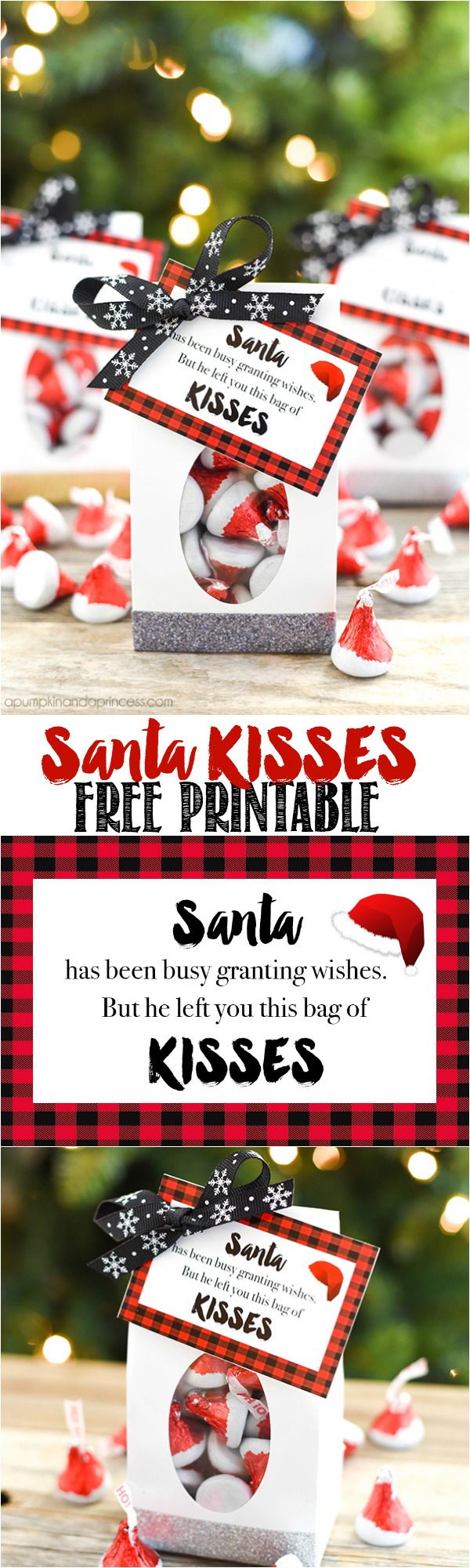 santa kisses treat bags - a pumpkin and a princess